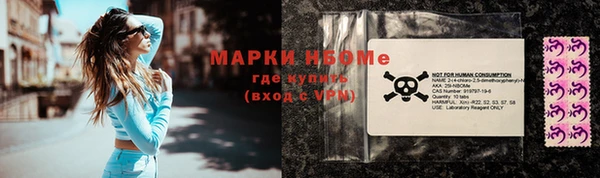 шишки Алзамай