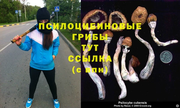 шишки Алзамай