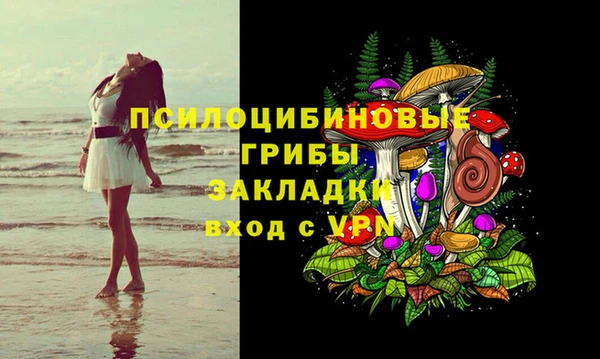 кокс Алексеевка